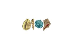 Seashells: A Detailed Review from an Embroidery Designer